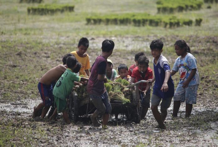 Tham gia vào Tết Senl Donta của người Khmer là dịp để trải nghiệm văn hóa truyền thống và tận hưởng không khí sôi động.