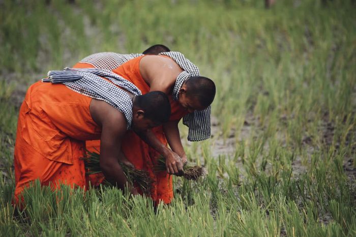 Hòa mình vào Tết Senl Donta của người Khmer là cơ hội để trải nghiệm văn hóa và truyền thống độc đáo của cộng đồng này.