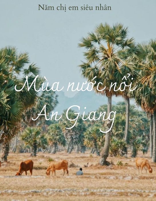 Mùa nước nổi ở An Giang, một điểm du lịch sôi động tại miền Tây Nam Bộ