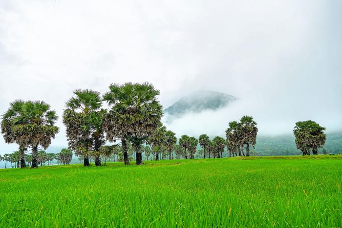 Trải nghiệm ẩm thực Hàn Quốc tại quán nướng KORYE