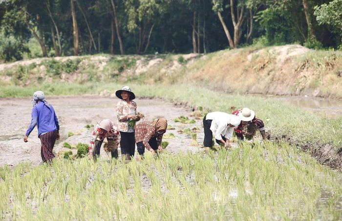 Trải nghiệm Tết Senl Donta của người Khmer là một cơ hội tuyệt vời để hòa mình vào lễ hội truyền thống đặc sắc.