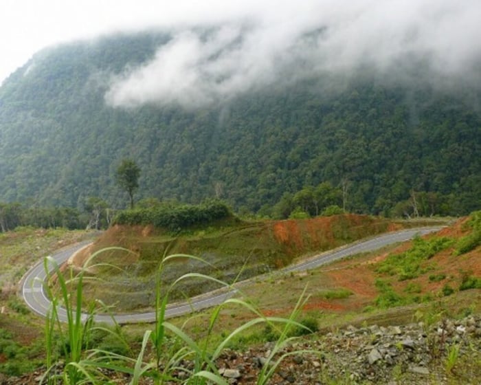 Khám phá Lễ hội đua bò An Giang - một truyền thống vô cùng đặc sắc 9