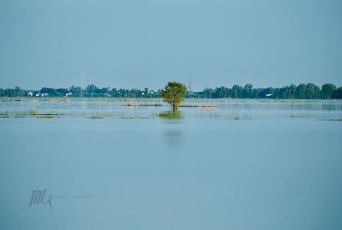 Dạo chơi An Giang khám phá miền quê thanh bình trong mùa nước nổi 3