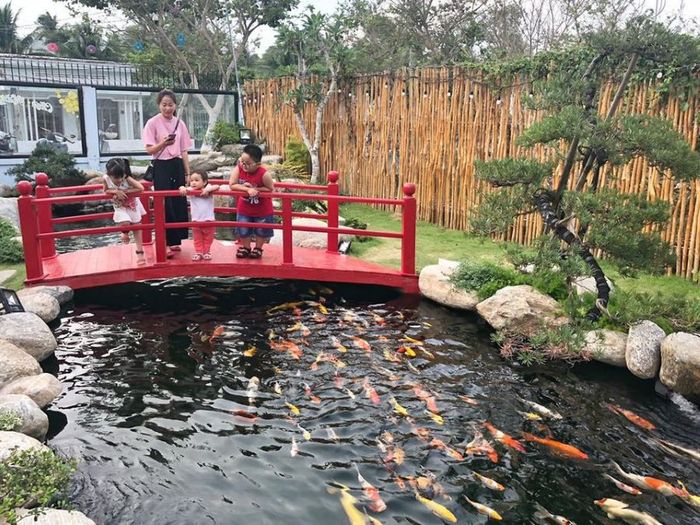 Iokkoi Coffee Zen Garden - nơi lý tưởng để hẹn hò và thư giãn