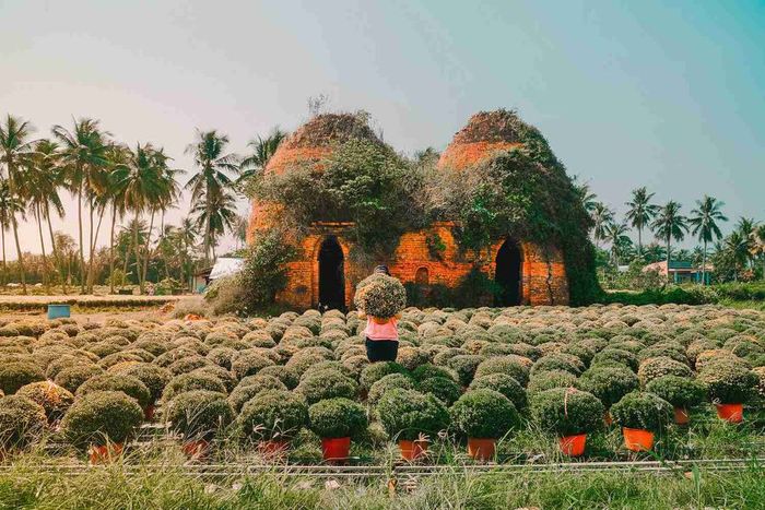 Top 7 lý do không thể bỏ lỡ khi khám phá Bến Tre 6