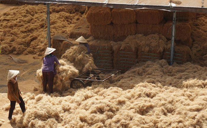 Mỏ Cày Bắc - điểm du lịch sinh thái nổi tiếng ở Bến Tre 7