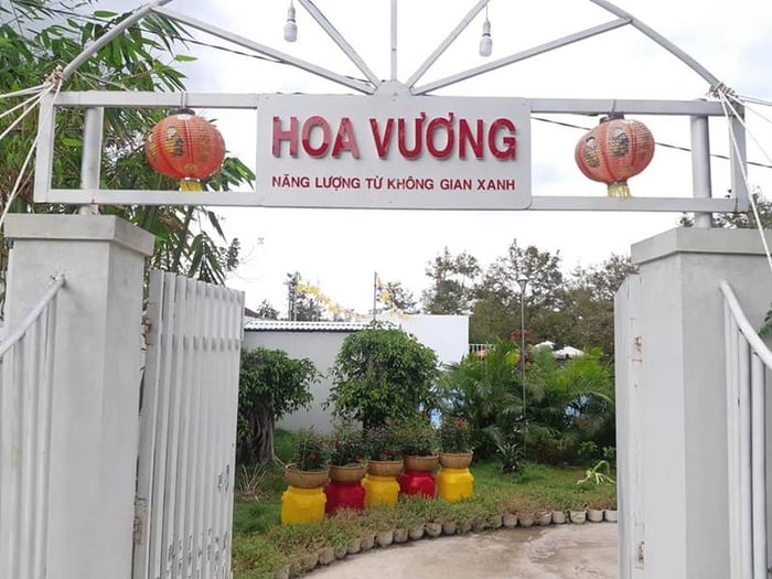 Khu du lịch sinh thái Hoa Vương là điểm sống ảo lý tưởng tại Bến Tre 2