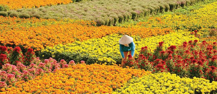 Hành trình khám phá du lịch sinh thái văn hóa lịch sử Bến Tre số 13 hứa hẹn mang lại những trải nghiệm đầy thú vị