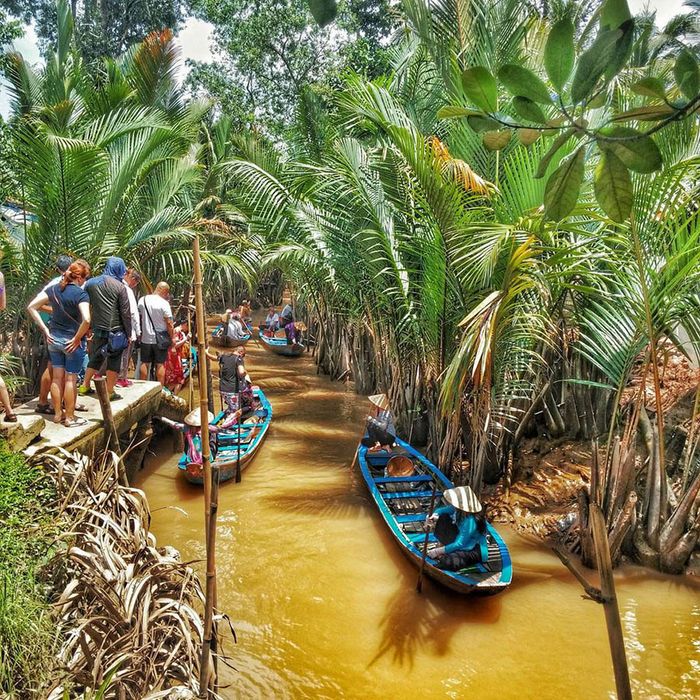 Trải nghiệm 1 ngày du lịch sinh thái ở Bến Tre khám phá vẻ đẹp tự nhiên phong phú 8