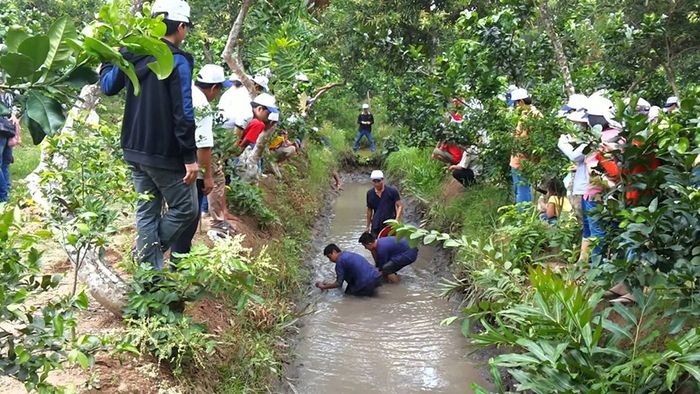 Trải nghiệm lịch trình khám phá Bến Tre 2 ngày 1 đêm với những kỷ niệm đáng nhớ thứ tư