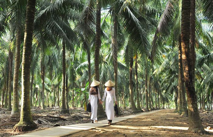 Dừa Bến Tre và sức hút từ vẻ đẹp tự nhiên của miền sông nước 3