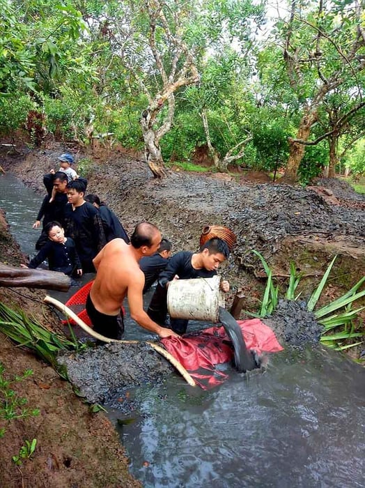 Khám phá vẻ đẹp của Cù lao Tam Hiệp qua phong cảnh tuyệt vời của sông nước