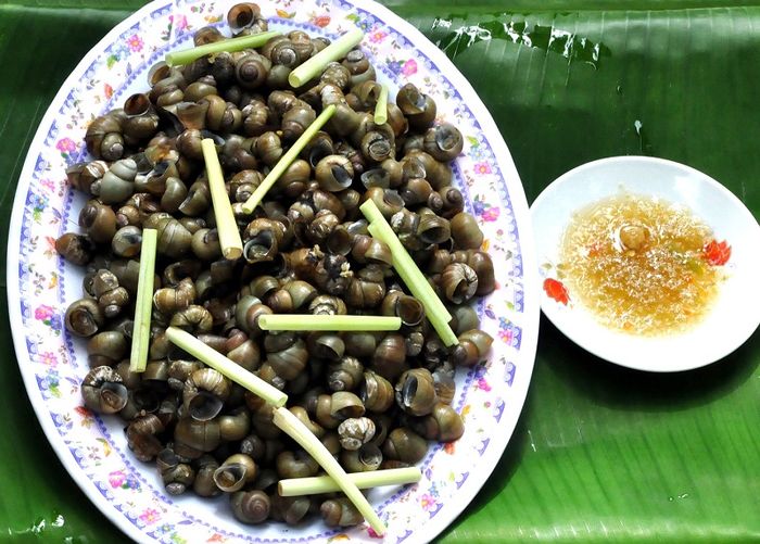 Trải nghiệm du lịch Bến Tre không thể phai nhạt