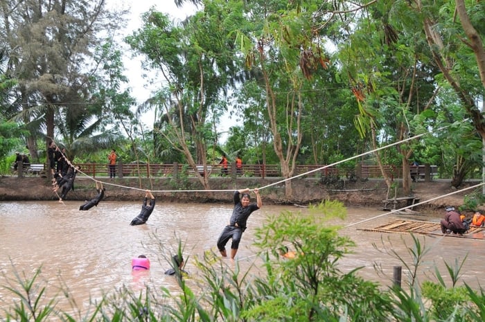 Khám phá những điểm du lịch nổi tiếng ở Ba Tri Bến Tre 3