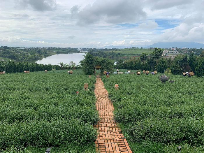 Chùa Trà Bảo Lộc, nơi dừng chân an yên cho những tâm hồn mệt mỏi