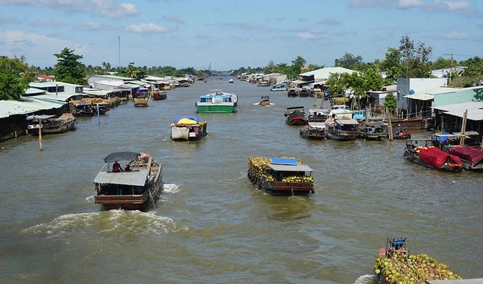 Chợ nổi Dừa trên sông Thom là một điểm đặc trưng duy nhất ở vùng Nam Bộ 2