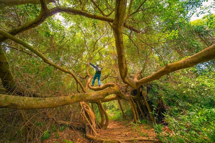 Trải nghiệm sân chim Vàm Hồ Bến Tre - Một chuyến đi đầy thú vị 5