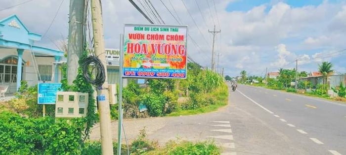 Khu du lịch sinh thái Hoa Vương là tọa độ sống ảo lý tưởng tại Bến Tre 3