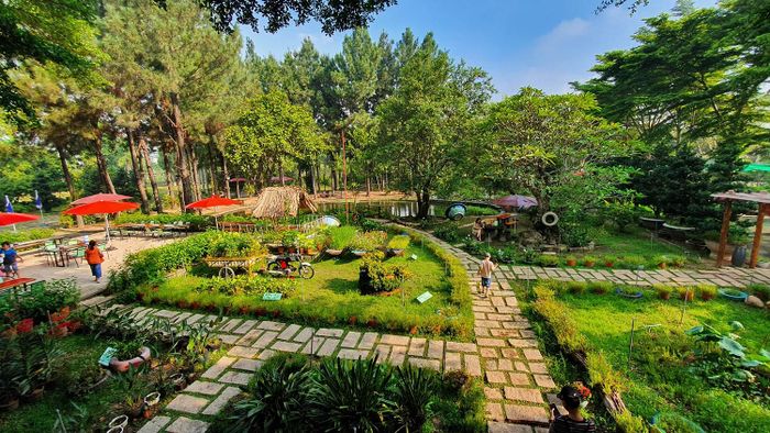 Định Hòa Garden, một không gian thơ mộng như Đà Lạt ngay giữa Bình Dương 5