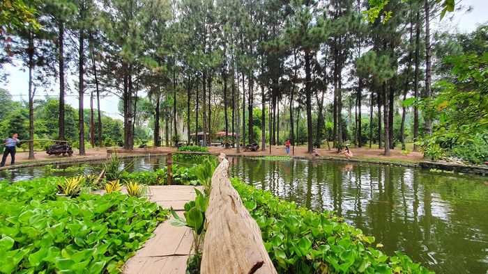 Định Hòa Garden, một không gian thơ mộng như Đà Lạt ngay giữa Bình Dương 4