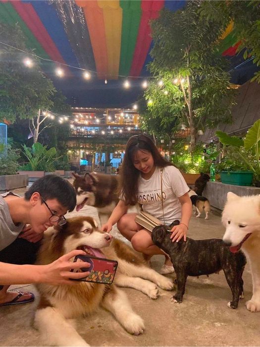 Thư giãn tại không gian cà phê thú cưng của Royal Land Pet Store - trải nghiệm độc đáo