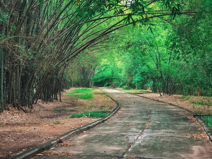 Ghi chú ngay top những điểm đến ở Bình Dương để lên kế hoạch cho chuyến du lịch hè này.