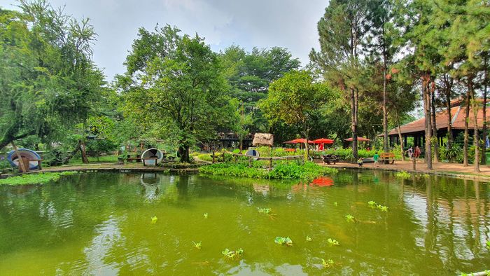 Định Hòa Garden, một không gian thơ mộng như Đà Lạt ngay giữa Bình Dương 7