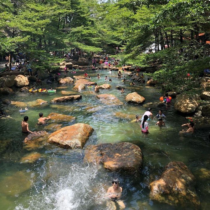 Charmingly impressed by the lush natural scenery of Thủy Châu Bình Dương tourist area 2