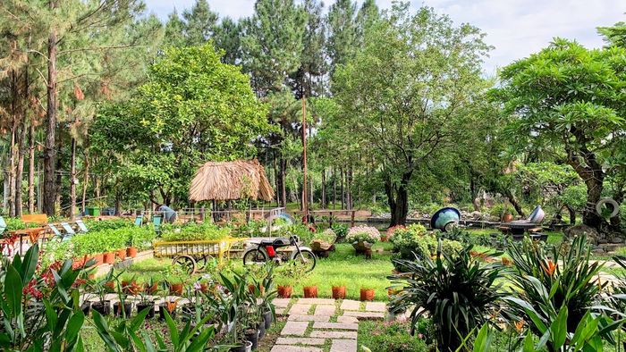 Định Hòa Garden, một không gian thơ mộng như Đà Lạt ngay giữa Bình Dương 11