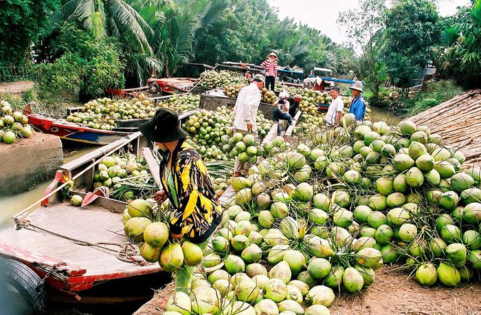 Lễ hội Dừa Bến Tre, sự kiện tôn vinh cây dừa đặc trưng của tỉnh 2