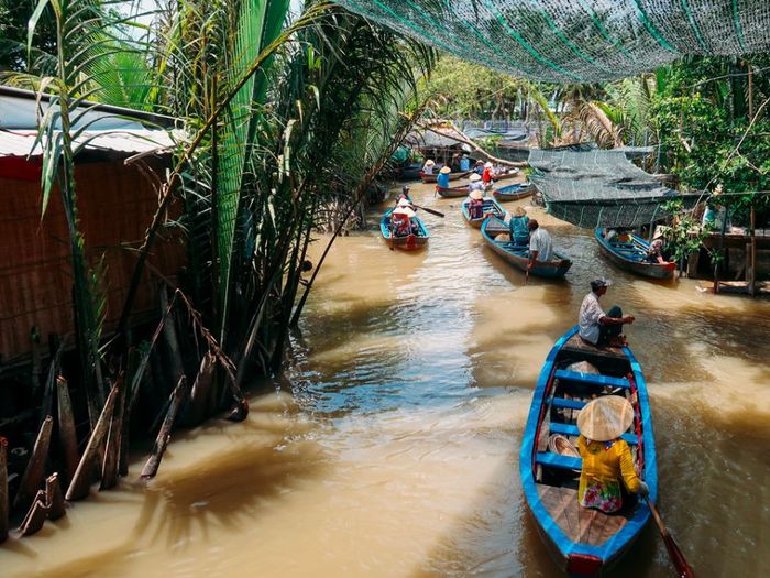 Hành trình khám phá Cồn Phụng trong một ngày dành cho du khách lần đầu tiên