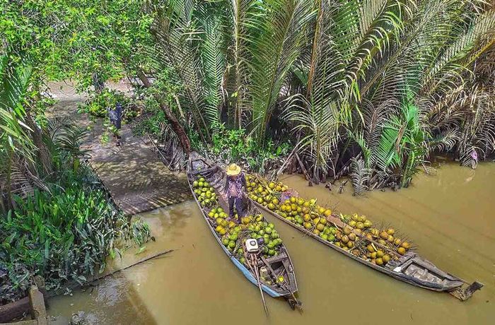 Bộ ảnh xứ dừa Bến Tre với vẻ đẹp yên bình miền quê 5