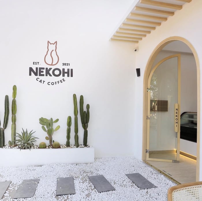 Nekohi Cat Coffee - Nơi dành cho những người yêu thú cưng