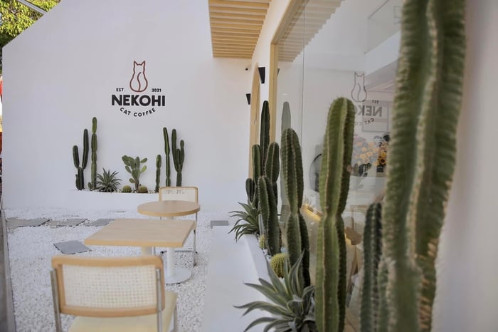 Nekohi Cat Coffee - Thế giới cà phê dành cho thú cưng và bạn