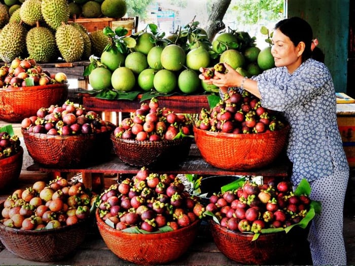 Lịch trình khám phá vườn trái cây Lái Thiêu vui nhộn 9