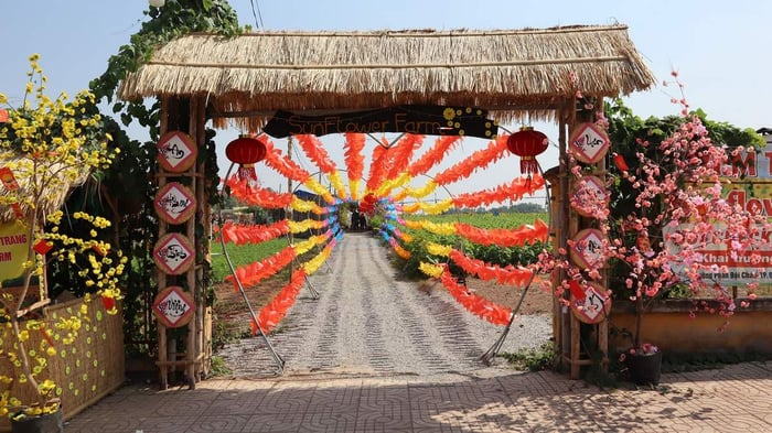 Sun Flower Farm - Cánh đồng hoa hướng dương vô tận ở Bình Phước 8