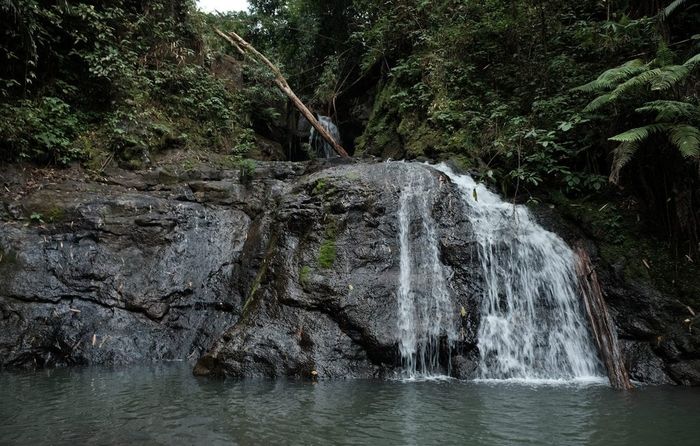 Trải nghiệm Trekking Bù Gia Mập 3N2Đ: Lịch trình tự túc dành cho những người yêu thích du lịch