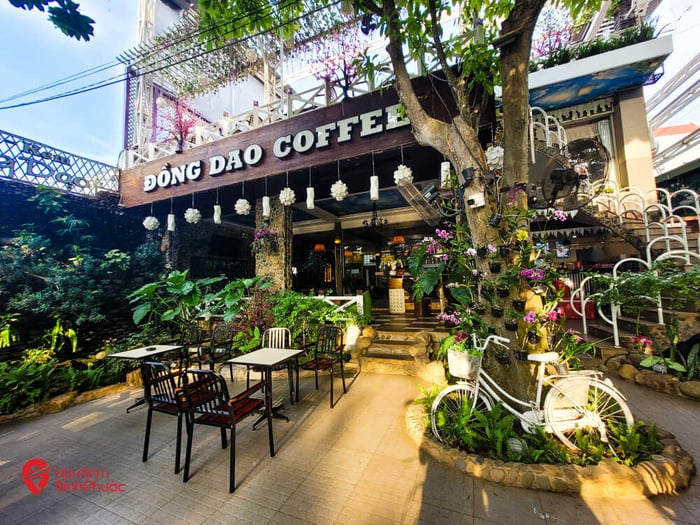 Khám phá quán cafe Đồng Dao, không gian sôi động giữa trái tim Bình Phước 6