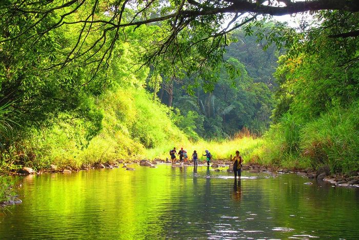 Giới thiệu về Bù Gia Mập, nơi chứa đựng vẻ đẹp thiên nhiên kỳ vĩ của miền Đông Nam Bộ