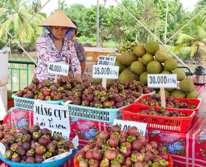 Lễ hội Lái Thiêu trong mùa trái chín và vẻ phong phú của miền đất Nam Bộ 3