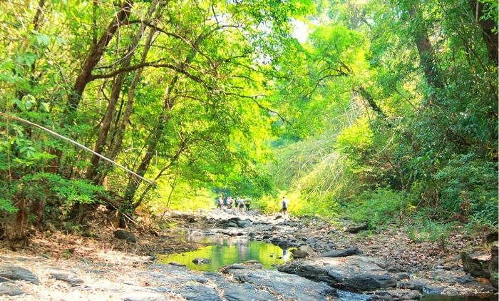 Khám phá Trải nghiệm Trekking Bù Gia Mập 3N2Đ, một lịch trình tự túc hấp dẫn cho những người đam mê du lịch