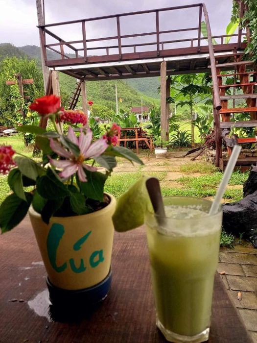 Khám phá không gian bình yên của Coco Garden 9