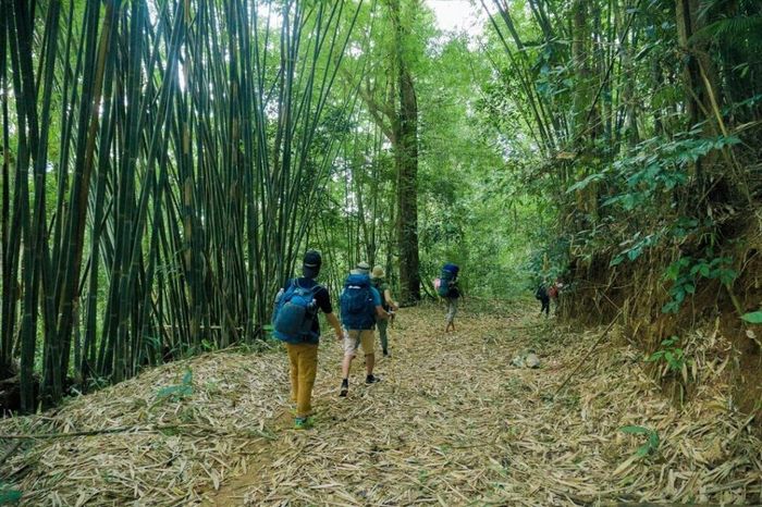 Trải nghiệm trekking tại Bù Gia Mập giữa cảnh đẹp hoang sơ của thiên nhiên