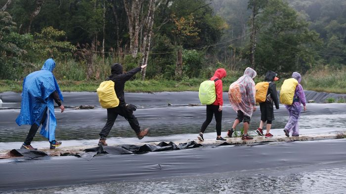 Trải nghiệm trekking tại Bù Gia Mập giữa cảnh đẹp hùng vĩ của thiên nhiên