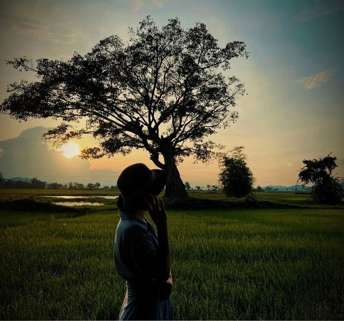 Cây cô đơn Hồ Lắk, một điểm đến không thể bỏ qua ngay tại Buôn Ma Thuột.