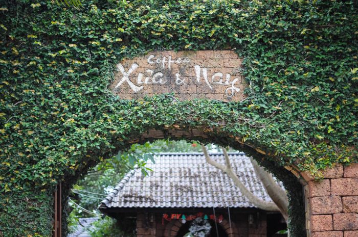 Danh sách những quán cafe đẹp ở Buôn Ma Thuột cho trải nghiệm sống ảo đỉnh cao 4
