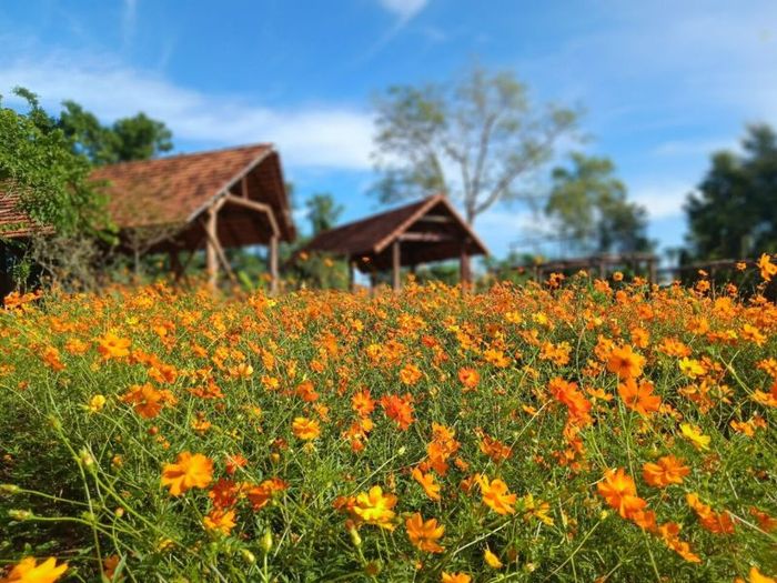 Khu du lịch Troh Bư, nơi bảo tồn vẻ đẹp hùng vĩ của Đắk Lắk 7