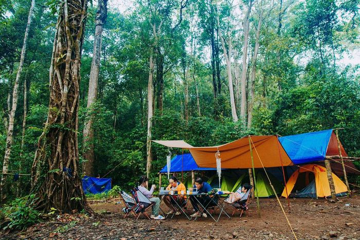 Những ai muốn tham gia vào hành trình trekking Bù Gia Mập nên chuẩn bị đầy đủ với các vật dụng cần thiết như thức ăn, nước uống và đồ dùng cá nhân.