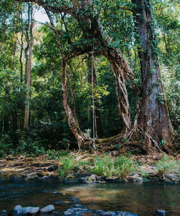 Hướng dẫn trekking Bù Gia Mập an toàn cho nhóm đam mê du lịch khám phá 2