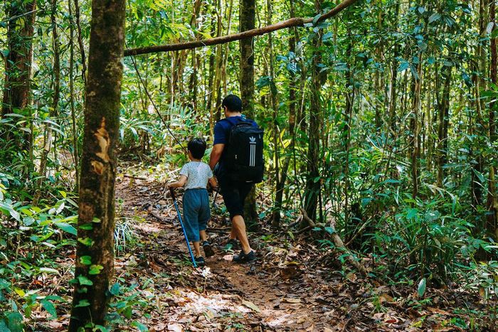 Hướng dẫn trekking Bù Gia Mập an toàn cho những người đam mê du lịch đây là một trải nghiệm không thể bỏ qua. Hãy sẵn sàng để khám phá vẻ đẹp tự nhiên tuyệt vời tại địa điểm này!